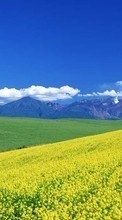 Télécharger une image Les champs,Sky,Montagnes,Paysage pour le portable gratuitement.