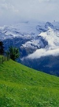 Télécharger une image Paysage,Herbe,Montagnes pour le portable gratuitement.