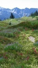 Télécharger une image Paysage,Herbe,Montagnes pour le portable gratuitement.