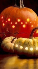 Télécharger une image 240x320 Fêtes,Halloween,Légumes,Citrouille pour le portable gratuitement.