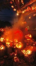 Télécharger une image Fêtes,Halloween pour le portable gratuitement.