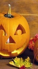 Télécharger une image Halloween,Fêtes pour le portable gratuitement.