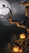 Télécharger une image Fêtes,Halloween,Citrouille pour le portable gratuitement.