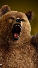 Télécharger une image Jeux,Bears,Tekken pour le portable gratuitement.