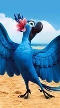 Télécharger une image Dessin animé,Oiseaux,Perroquets,Rio pour le portable gratuitement.
