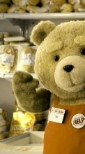 Cinéma,Bears,Ted pour Samsung C3510