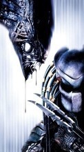 Télécharger une image Cinéma,AVP: Alien vs. Predator pour le portable gratuitement.