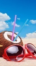Télécharger une image Coconuts,Paysage,Plage,Été,Boissons pour le portable gratuitement.