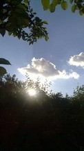 Paysage,Sky,Feuilles,Sun,Nuages pour Sony Xperia E1