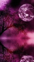 Télécharger une image Paysage,Nuit,Lune pour le portable gratuitement.