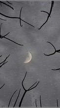 Lune,Paysage