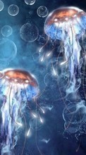 Télécharger une image Jellyfish,Animaux pour le portable gratuitement.