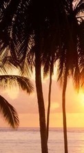 Mer,Palms,Paysage,Coucher de soleil pour Apple iPad 4