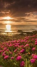 Mer,Paysage,Coucher de soleil pour LG Optimus G E973