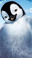 Dessin animé,Pinguouins pour HTC Desire 300