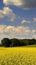 Télécharger une image Paysage,Les champs,Sky pour le portable gratuitement.
