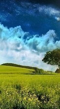 Télécharger une image Paysage,Sky,Sun pour le portable gratuitement.