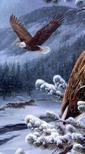 Télécharger une image Oiseaux,Neige,Dessins,Eagles pour le portable gratuitement.