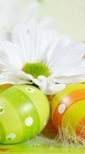 Télécharger une image De Pâques,Fêtes pour le portable gratuitement.