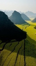 Paysage,Les champs,Nature pour HTC Hero
