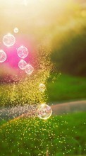 Télécharger une image Paysage,Herbe,Sun,Bubbles pour le portable gratuitement.