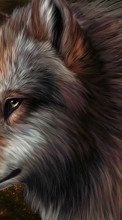 Télécharger une image Animaux,Loups,Dessins pour le portable gratuitement.