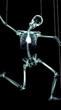Télécharger une image 360x640 Humour,Skeletons pour le portable gratuitement.