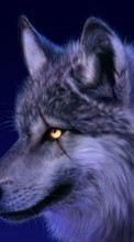 Télécharger une image 480x800 Animaux,Loups pour le portable gratuitement.