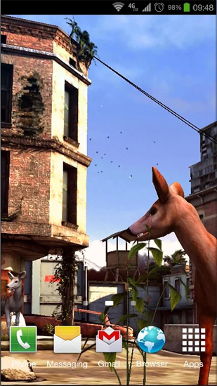 Ville apocalyptique   - télécharger gratuit un fond d'écran animé Animaux pour le portable.