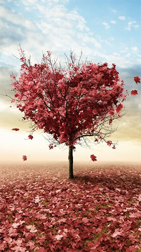 Amour d'automne  - télécharger gratuit un fond d'écran animé Paysage pour le portable.