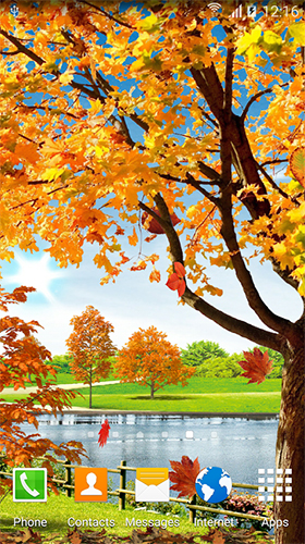 Etang d'automne  - télécharger gratuit un fond d'écran animé Paysage pour le portable.
