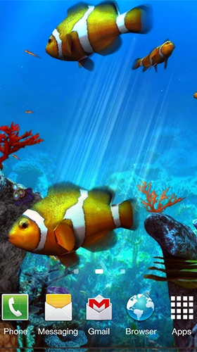 Aquarium avec les amphiprions 3D  - télécharger gratuit un fond d'écran animé Aquariums pour le portable.