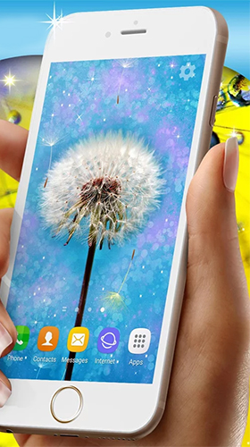 Télécharger gratuitement le fond d'écran animé Dents-de-lion  sur les portables et les tablettes Android.