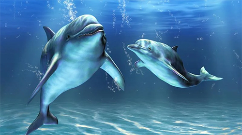 Dauphins 3D  - télécharger gratuit un fond d'écran animé Aquariums pour le portable.