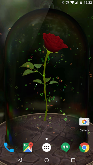 Rose enchantée   - télécharger gratuit un fond d'écran animé 3D pour le portable.