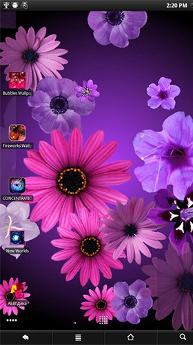 Télécharger gratuitement le fond d'écran animé Fleurs  sur les portables et les tablettes Android.