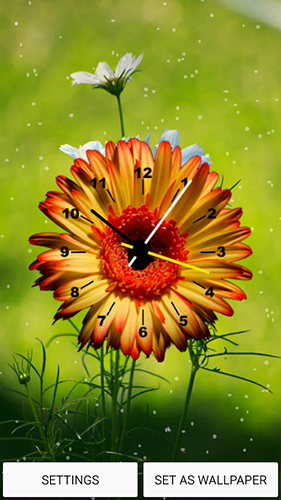 Chrono de fleurs  - télécharger gratuit un fond d'écran animé Fleurs pour le portable.