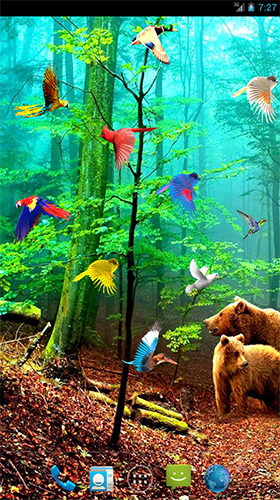 Oiseaux de forêt  - télécharger gratuit un fond d'écran animé Paysage pour le portable.