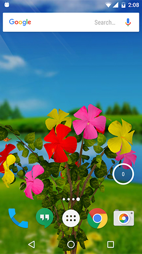 Télécharger gratuitement le fond d'écran animé Hibiscus 3D sur les portables et les tablettes Android.