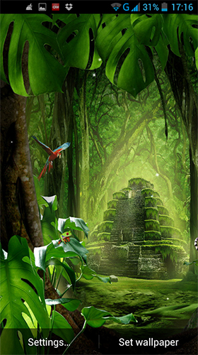 Jungles  - télécharger gratuit un fond d'écran animé Plantes pour le portable.