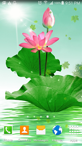 Lotus  - télécharger gratuit un fond d'écran animé Paysage pour le portable.