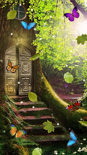 Forêt magique  - télécharger gratuit un fond d'écran animé Paysage pour le portable.
