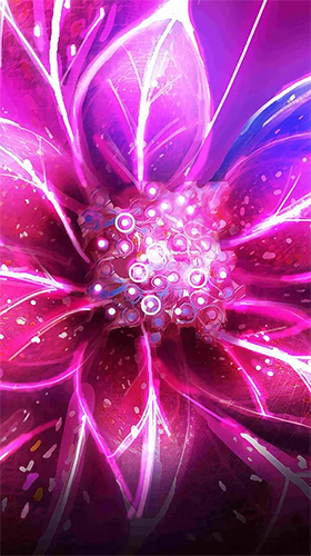 Fleurs de néon  - télécharger gratuit un fond d'écran animé Fleurs pour le portable.