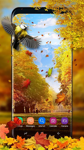Nature pittoresque   - télécharger gratuit un fond d'écran animé Animaux pour le portable.
