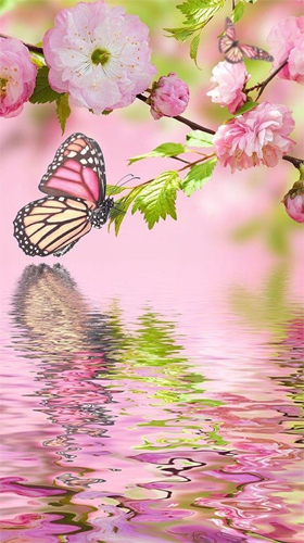 Papillon rose  - télécharger gratuit un fond d'écran animé Fleurs pour le portable.