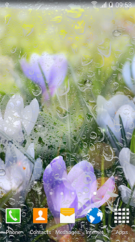 Fleurs de pluie  - télécharger gratuit un fond d'écran animé pour le portable.