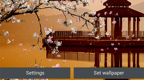 Jardin de sakura  - télécharger gratuit un fond d'écran animé Fleurs pour le portable.