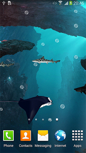 Télécharger gratuitement le fond d'écran animé Requins 3D  sur les portables et les tablettes Android.
