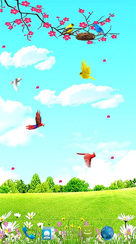 Oiseaux de ciel  - télécharger gratuit un fond d'écran animé Interactif pour le portable.
