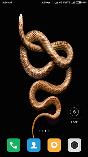 Serpent HD  - télécharger gratuit un fond d'écran animé Animaux pour le portable.